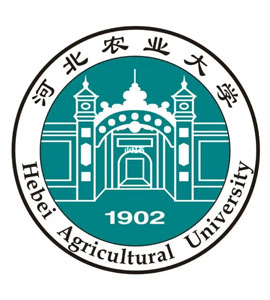 裕华河北农业大学